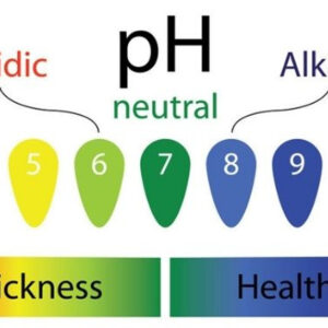 pH - What is it?